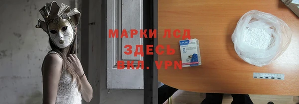 гидра Вязьма