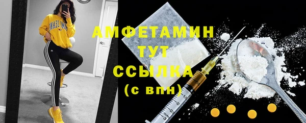 mdpv Вяземский